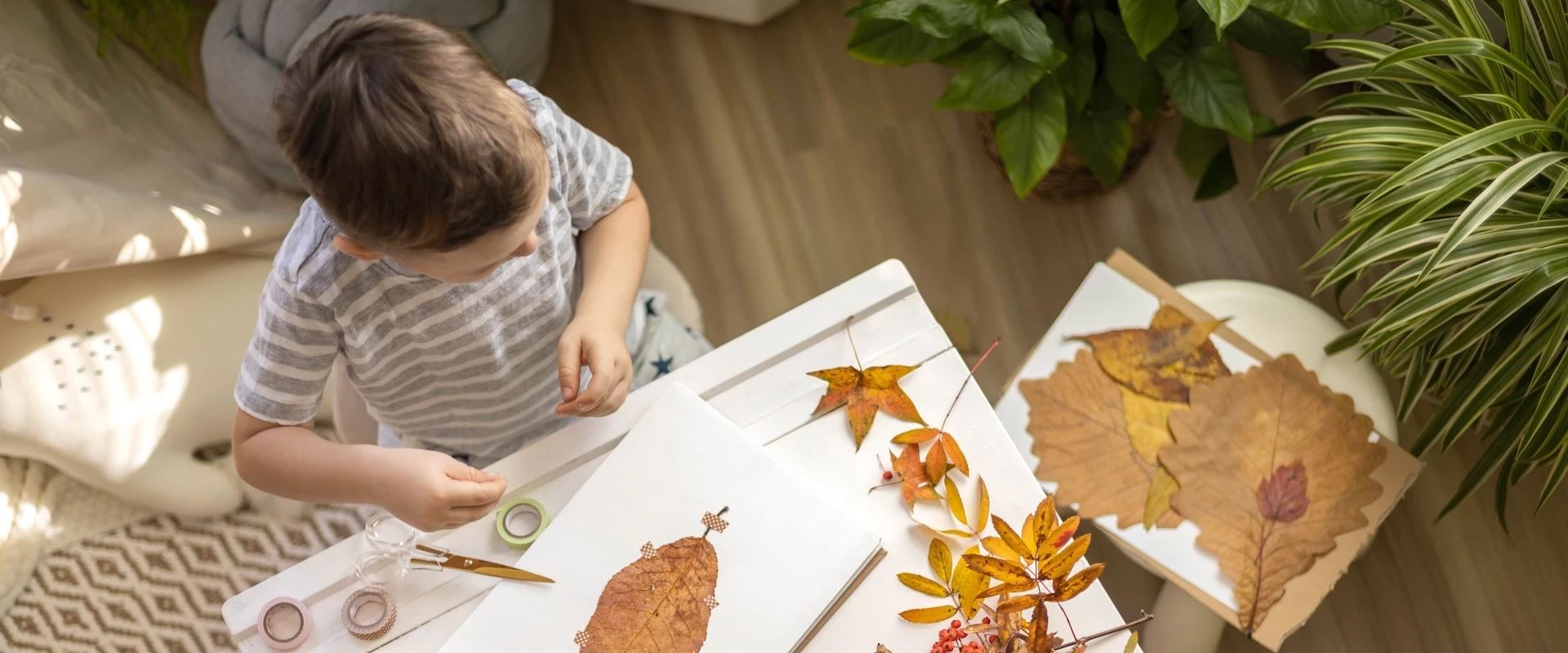 Aestus - Montessori mateřská škola Ústí nad Labem s.r.o.